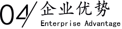 企業(yè)優(yōu)勢/Enterprise Advantage